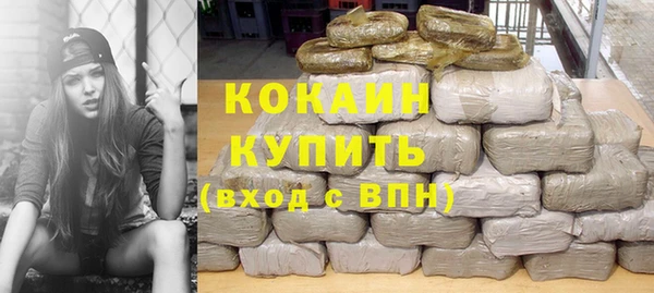 гидропоника Новозыбков