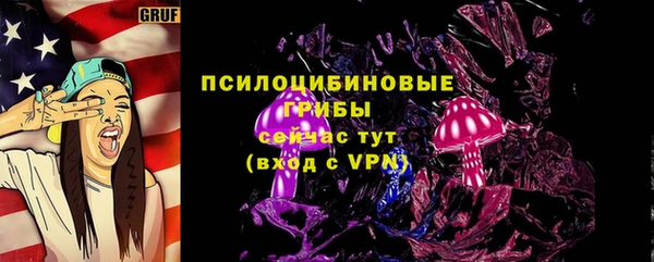 амф Новокубанск