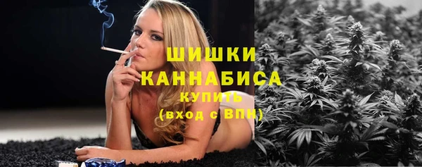амф Новокубанск
