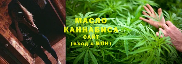 прущие грибы Железногорск-Илимский