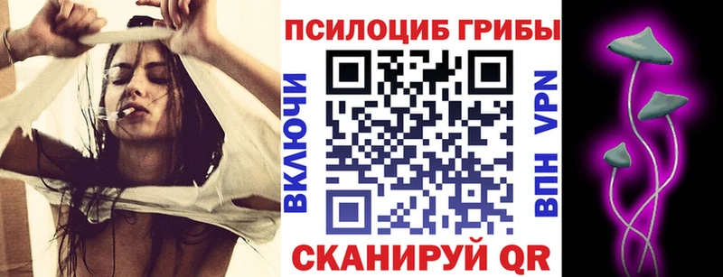 Псилоцибиновые грибы прущие грибы  Северобайкальск 