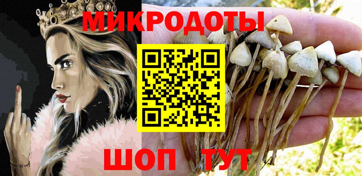 Северобайкальск  Псилоцибиновые грибы ЛСД  Вход с VPN  где можно купить   Псилоцибиновые грибы прущие грибы 